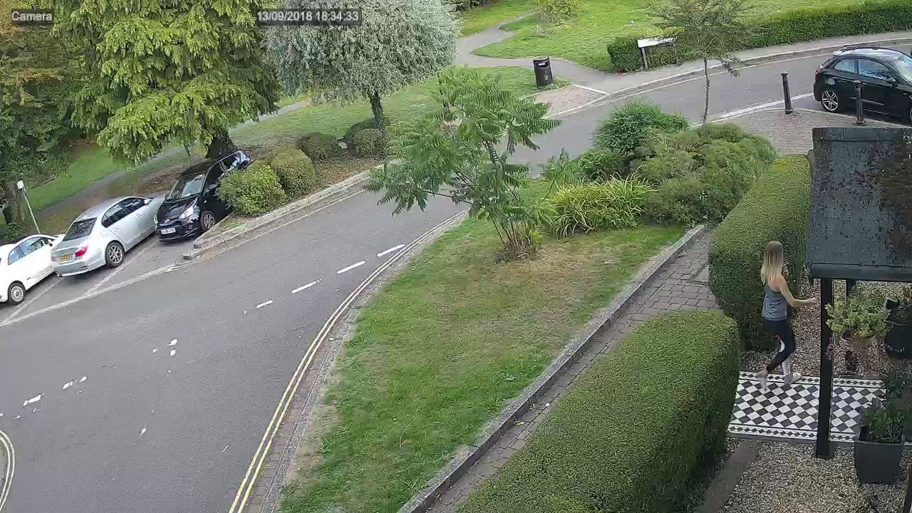 cctv+alert Lady entering her house